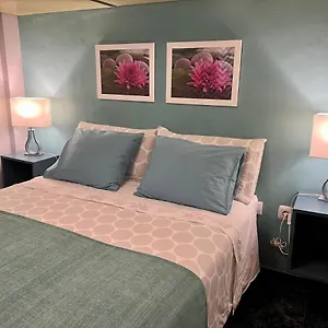 Apartamento Estudios Dalia